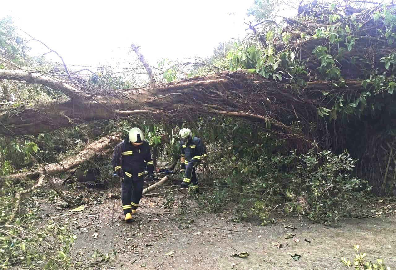 平日教書 假日救人：港男在台當義消圓夢 最愛就是那套制服