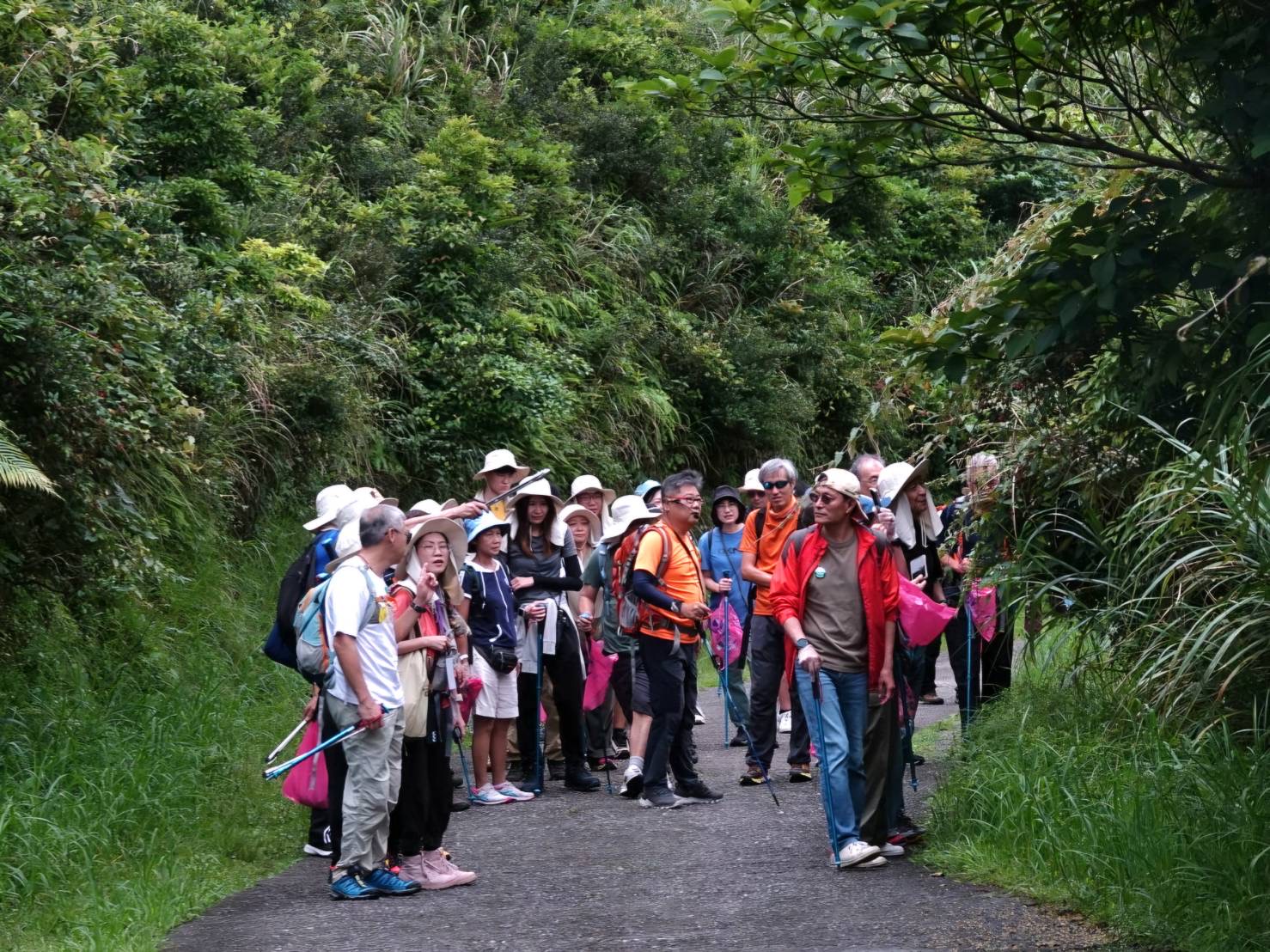 導覽老師解說當地生態及歷史文化