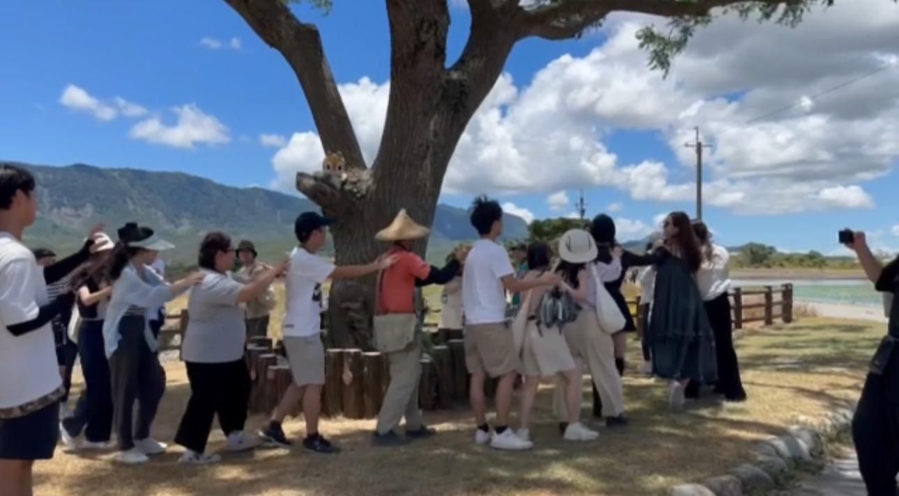   (另開視窗)