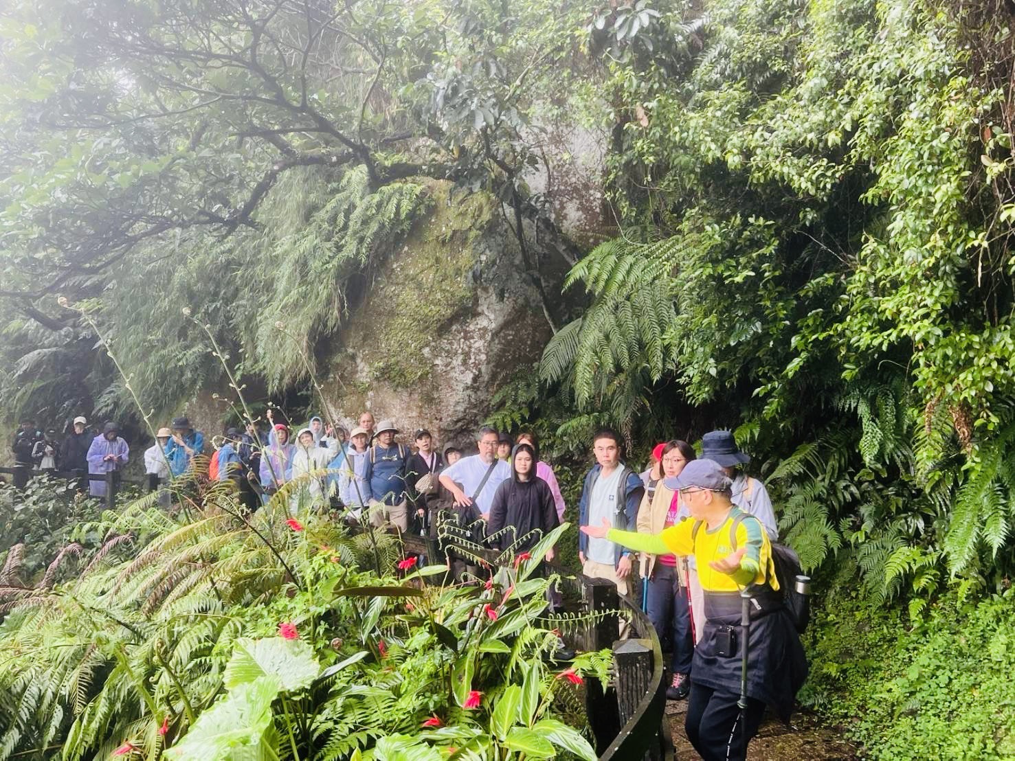 生態導覽及淨山