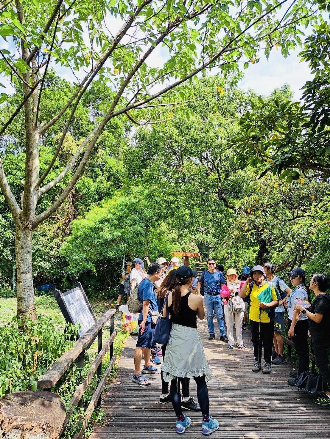 生態導覽及公益淨山