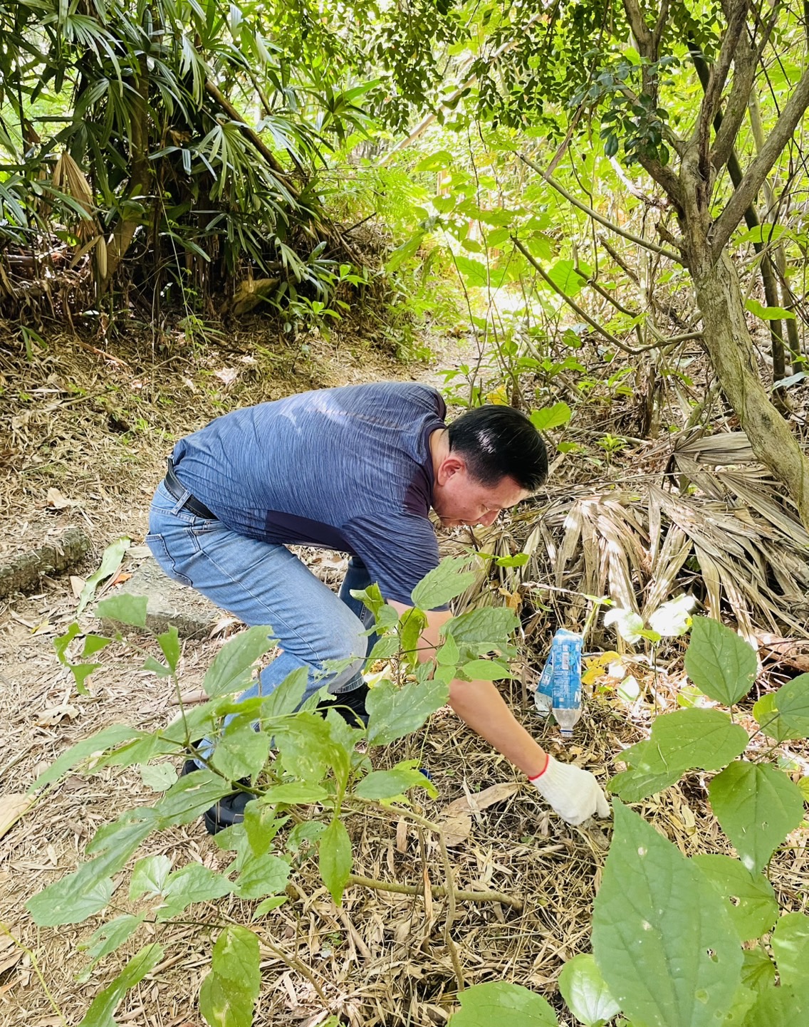 生態導覽及公益淨山