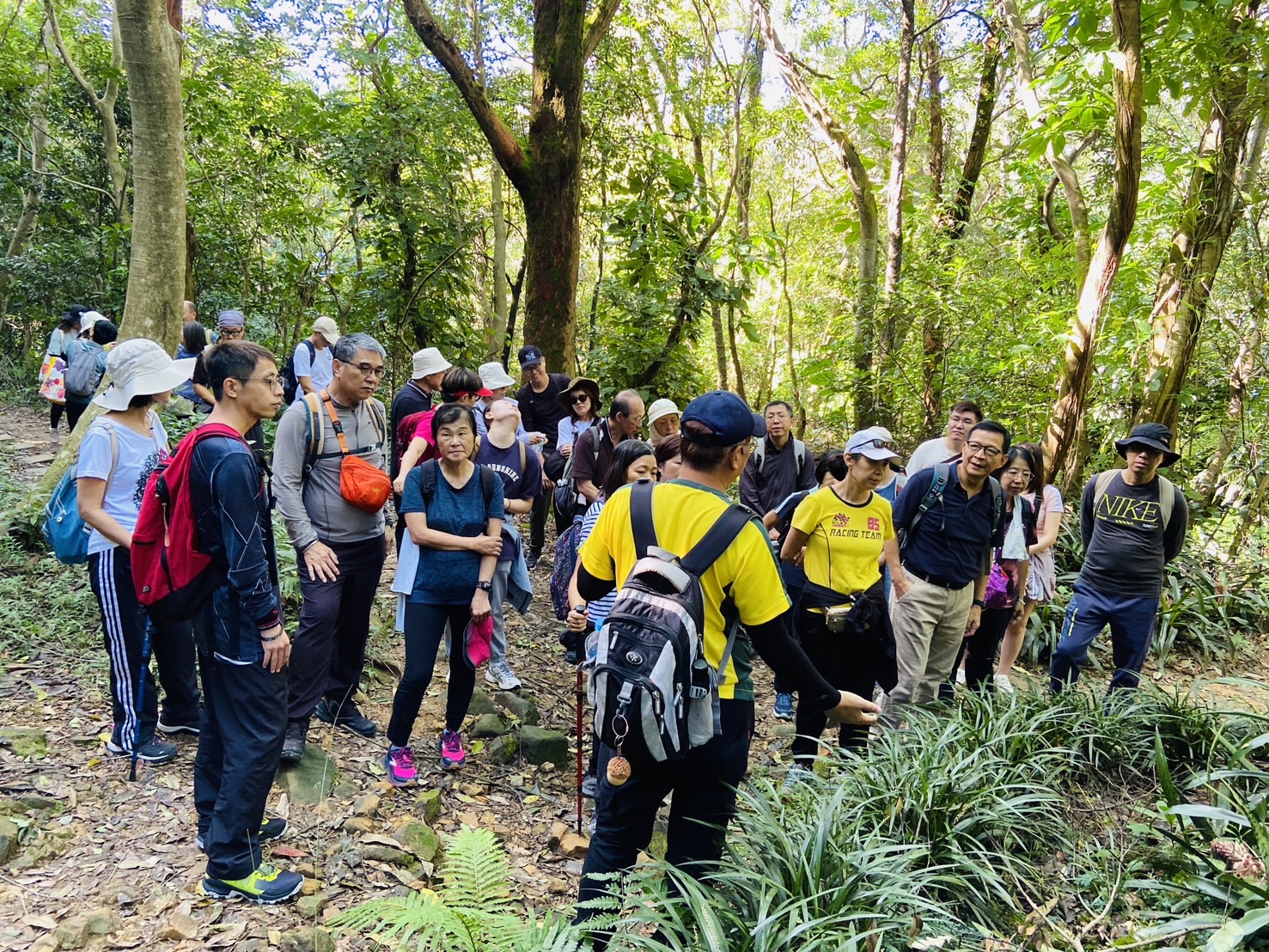 生態導覽及公益淨山