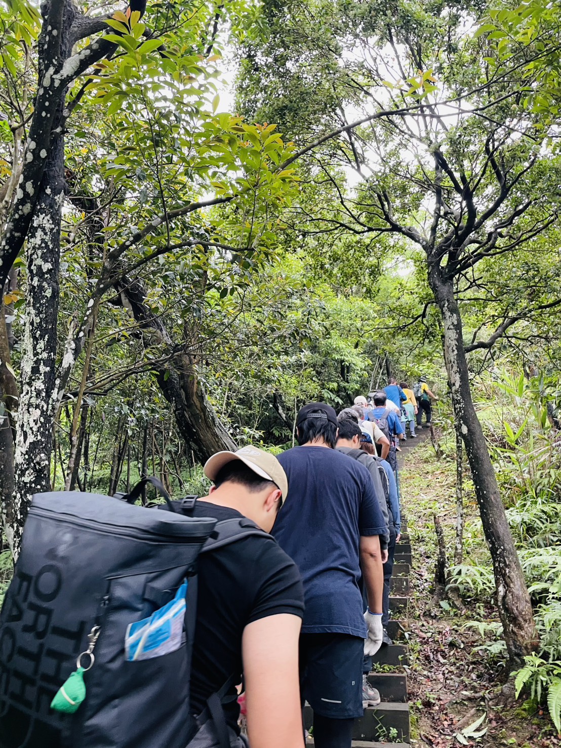 生態導覽及公益淨山