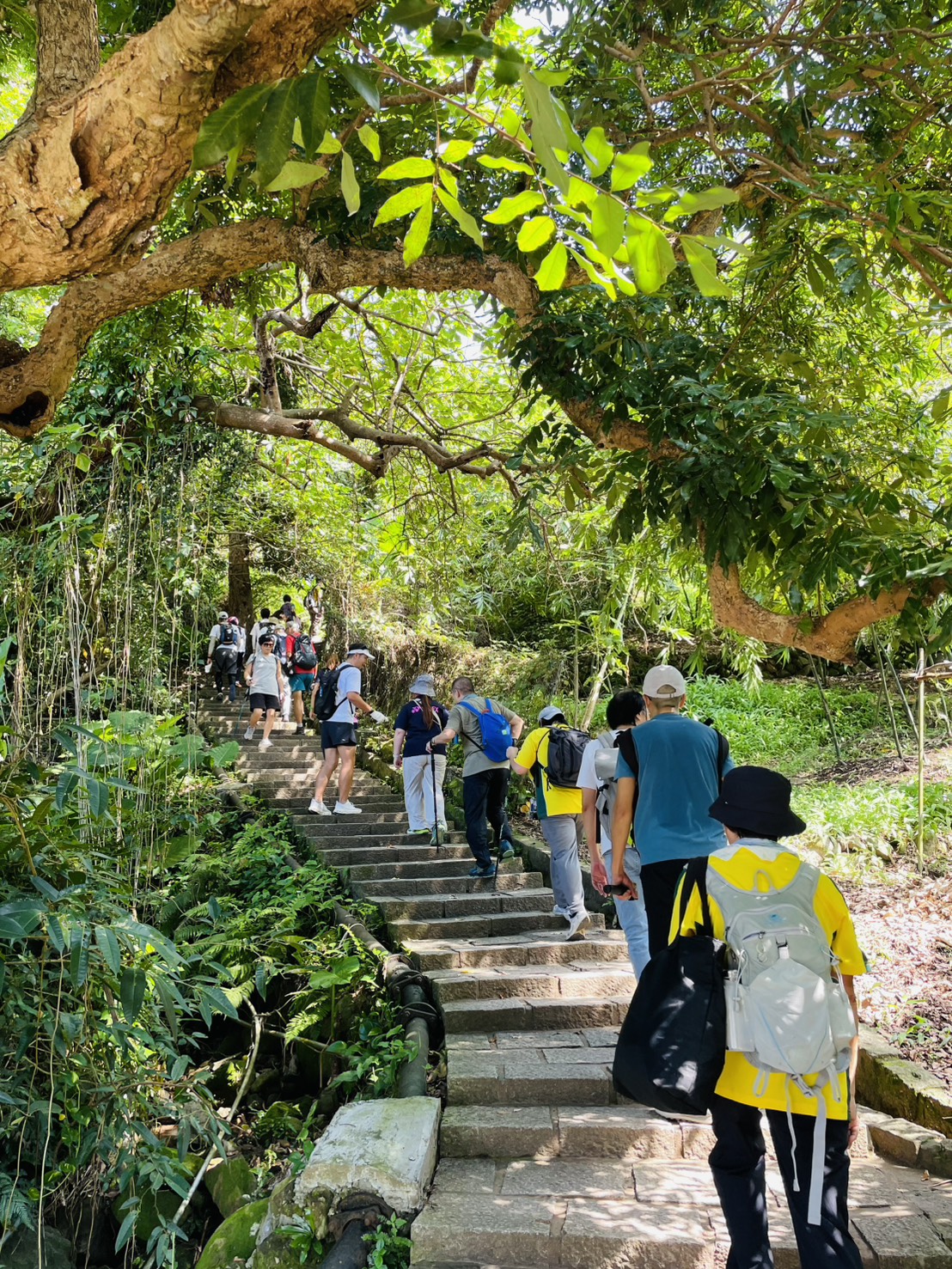 生態導覽及公益淨山