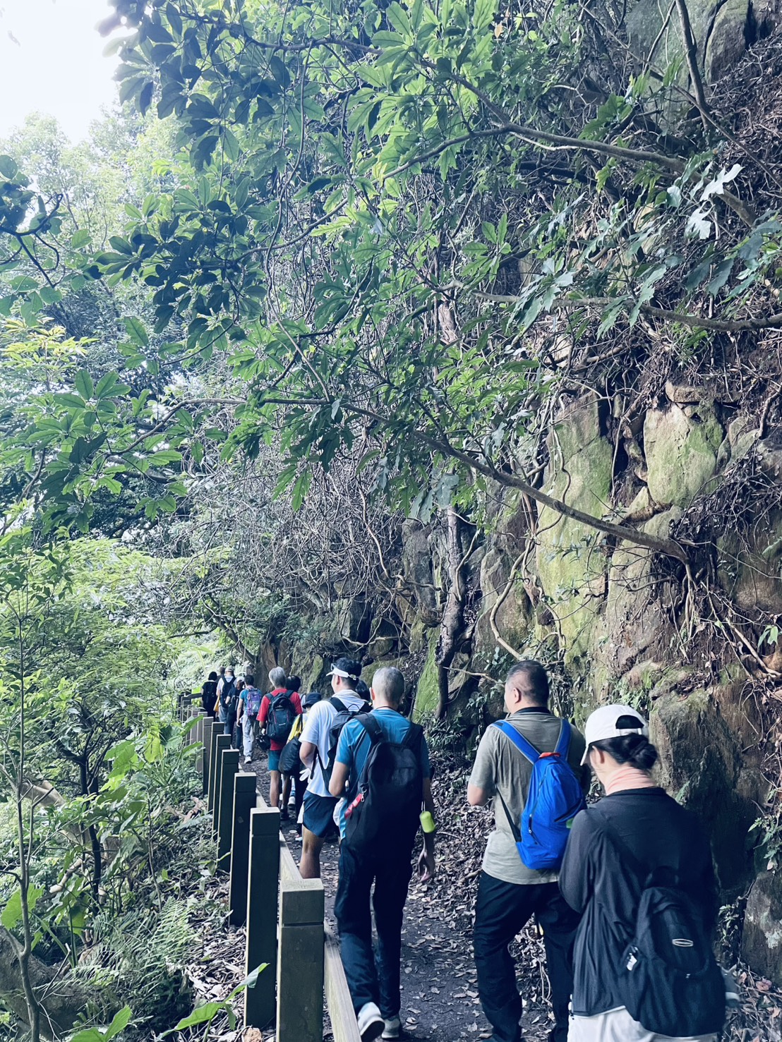 生態導覽及公益淨山