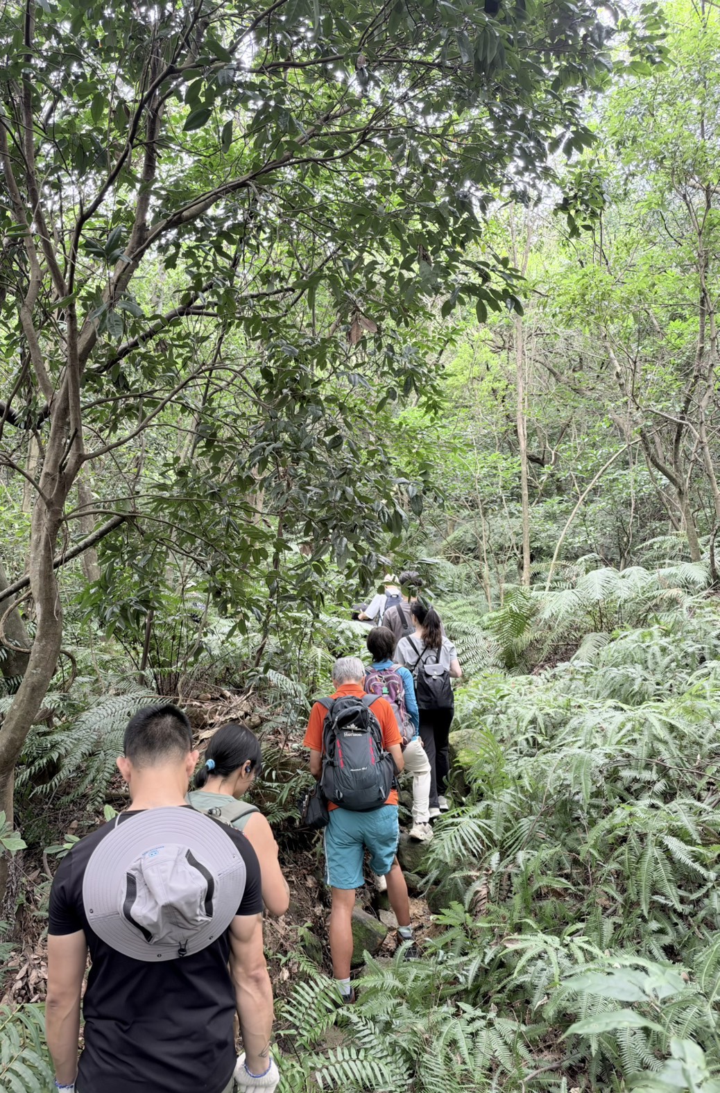 生態導覽及公益淨山