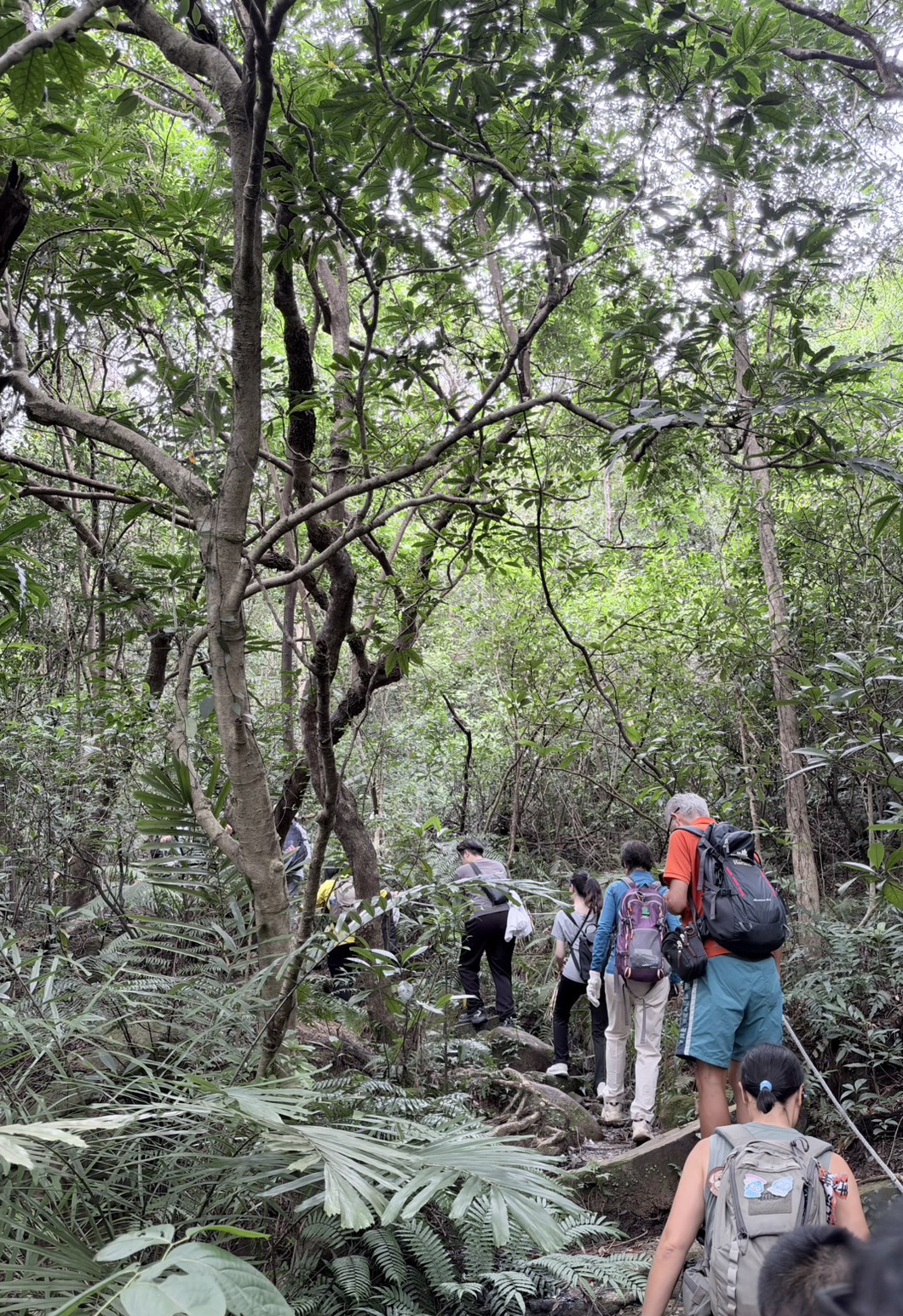 生態導覽及公益淨山