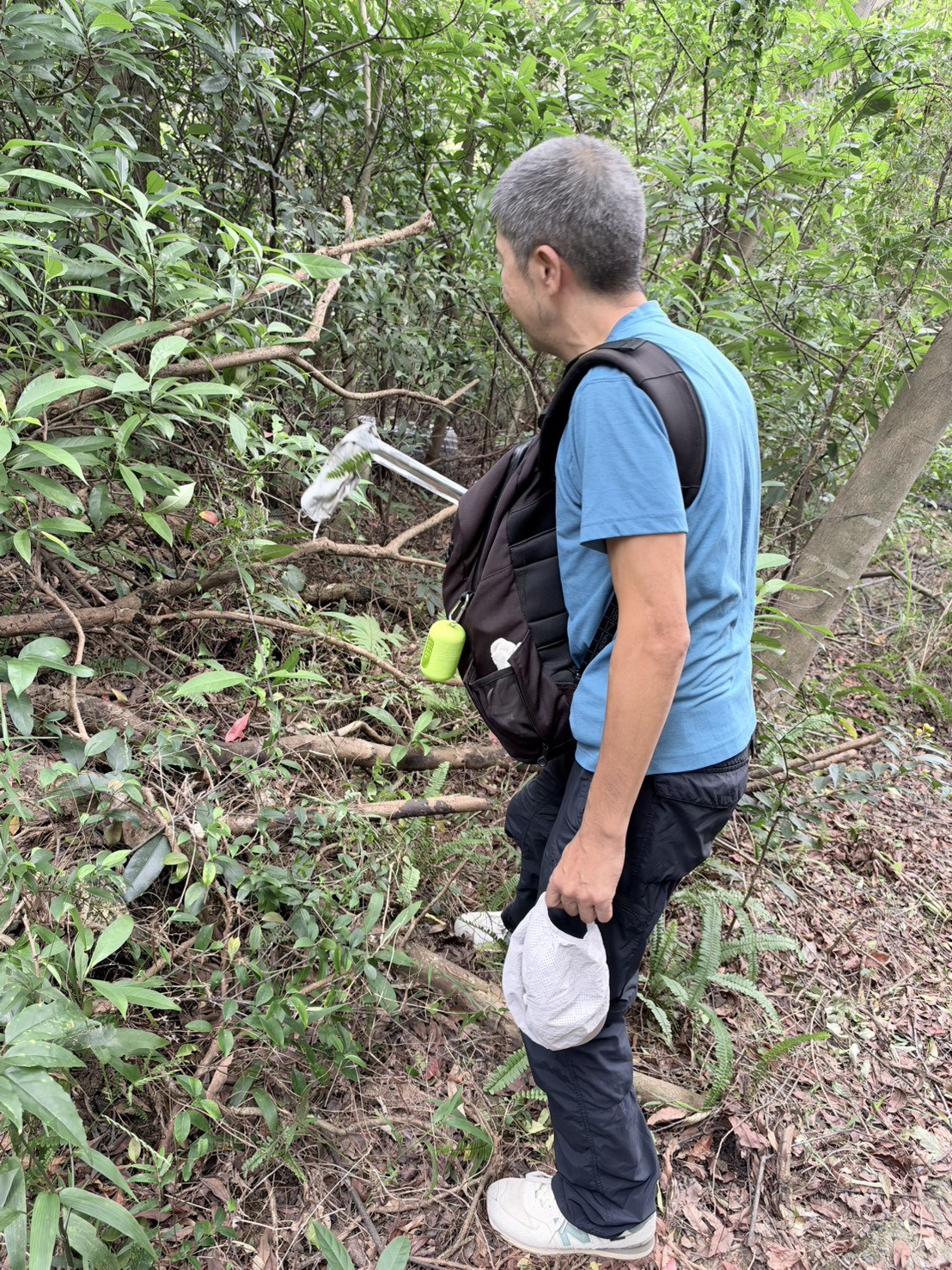生態導覽及公益淨山